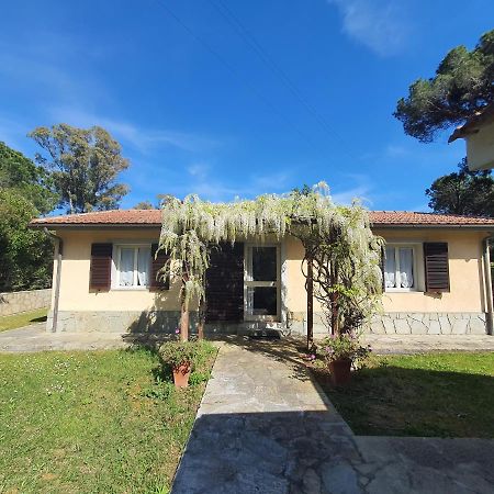 Lacona Holiday Villa Near The Beach Exterior photo